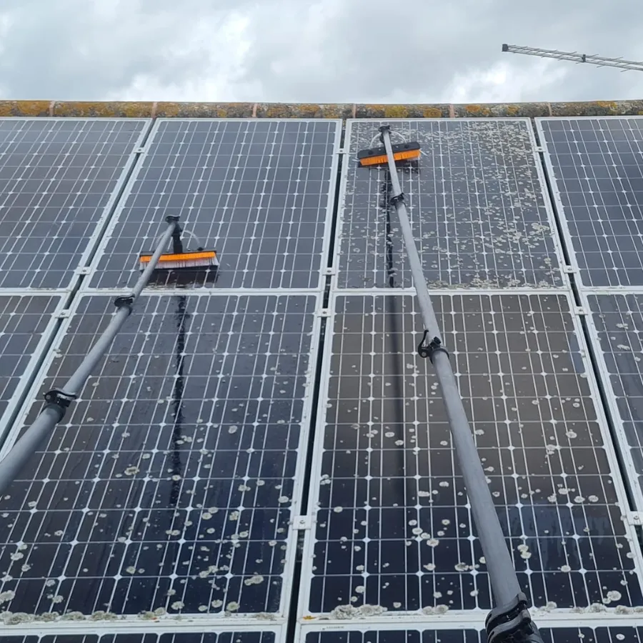 Solar panels being cleaned with long-handled cleaning brushes