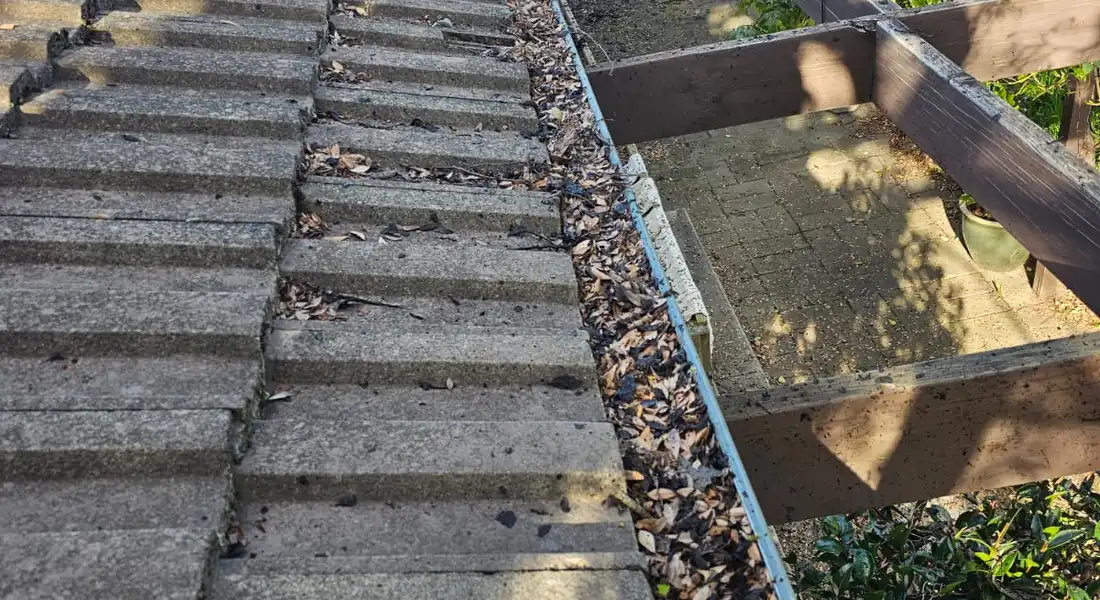 Leaf debris in a roof gutter before professional gutter cleaning
